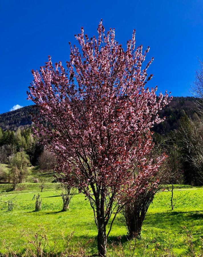 Residence Dolomiti Forni di Sopra Luaran gambar